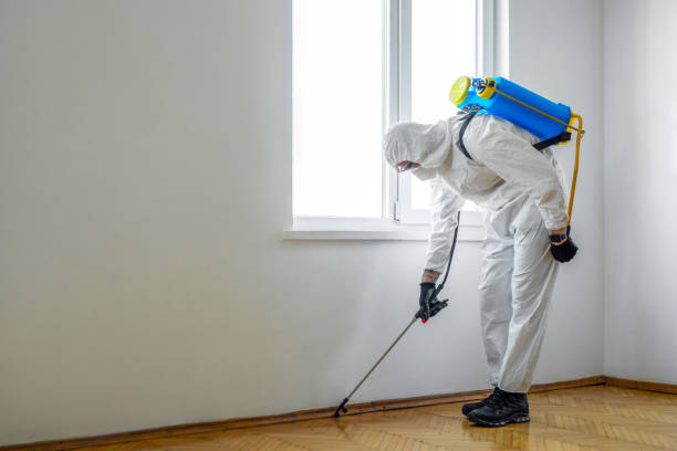 Best Bed Bug Extermination  in Fairburn, GA